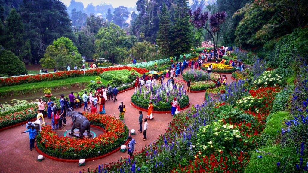botanical garden ooty