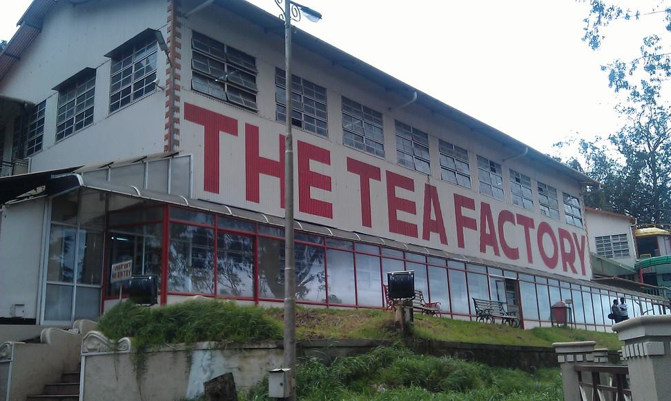 tea factory